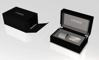 Citizen Serie 8 GMT automatico NB6031-56E